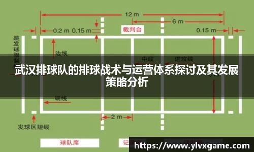 武汉排球队的排球战术与运营体系探讨及其发展策略分析